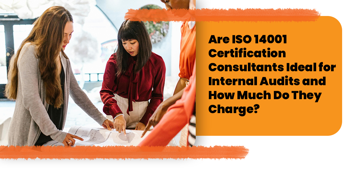 Are ISO 14001 Certification Consultants Ideal for Internal Audits and How Much Do They Charge